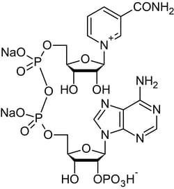 Abcam&nbsp;NADP, Coenzyme, 5G