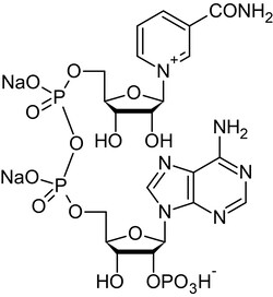 Abcam&nbsp;NADP, Coenzyme, 250MG