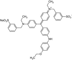 Abcam&nbsp;Coomassie Brilliant Blue R-250 Protein Stain, 25G
