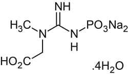 Abcam&nbsp;Creatine phosphate disodium salt tetrahydrate, Phosphate reservoir, 25G