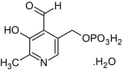 Abcam&nbsp;Pyrido x al- 5'-phosphate monohydrate, Vitamin B6 metabolite, 25G