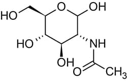 Abcam N-Acetyl-D-glucosamine, N-Acetyl derivative of glucosamine, 25G
