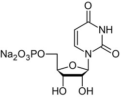 Abcam&nbsp;Uridine-5'-monophosphate [UMP] disodium salt, nucleotide component of ribonucleic acid, 5G