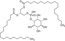 Abcam&nbsp;L-alpha-Phosphatidylinositol, Phospholipase C substrate, 250MG