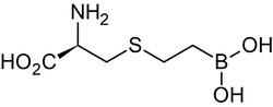 Abcam&nbsp;BEC, Arginase inhibitor, 1MG