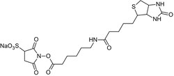 Abcam Sulfo-NHS-LC-Biotin, biotinylating reagent.