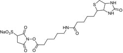 Abcam Sulfo-NHS-LC-Biotin, biotinylating reagent, 10MG