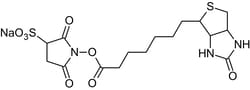 Abcam Sulfo-NHS-Biotin, NHS-ester biotinylation reagent, 250MG
