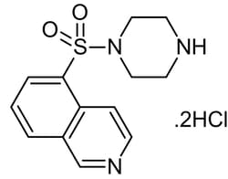 Abcam&nbsp;HA 100 dihydrochloride, Myosin light chain kinase, PKA, PKC and PKG inhibitor, 10MG