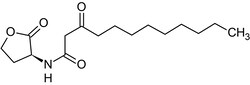 Abcam N-(3-O x ododecanoyl)-L-homoserine lactone, involved in quorum sensing, 20MG