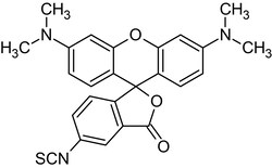 Abcam&nbsp;5-TRITC (Tetramethylrhodamine-5-isothiocyanate), Amine and nucleic acid reactive fluorescent probe, 5MG