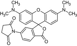 Abcam Tetramethylrhodamine-6-maleimide, Fluorescent reagent, 2MG