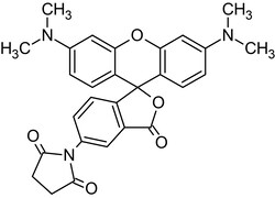 Abcam&nbsp;Tetramethylrhodamine-5-maleimide, Labeling reagent for protein thiols, 5MG