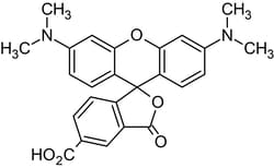 Abcam 5-TAMRA (5-Carbo x ytetramethylrhodamine), Fluorescent dye for DNA, peptides and proteins, 25MG