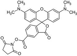 Abcam&nbsp;5-TAMRA N-succinimidyl ester (5-Carbo x y-tetramethylrhodamine N-succinimidyl ester), 1MG