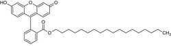 Abcam Fluorescein octadecyl ester, Lipophilic fluorescent pH indicator, 50MG