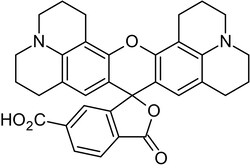 Abcam 6-ROX (6-Carboxy-X-rhodamine), Fluorescent oligonucleotide marker.