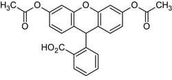 Abcam Dihydrofluorescein diacetate, Fluorescent intracellular o x idant probe, 1G