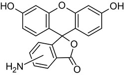 Abcam&nbsp;5(6)-Aminofluorescein (mi x ture of isomers), Fluorescein derivative, 10G