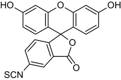 Abcam 5-FITC (5-Fluorescein Isothiocyanate), Fluorescent marker, 250MG