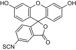Abcam&nbsp;5-FITC (5-Fluorescein Isothiocyanate), Fluorescent marker, 1G