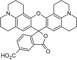 Abcam 5-ROX (5-carboxy-X-rhodamine), Fluorescent oligonucleotide marker.