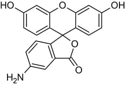 Abcam 5-Aminofluorescein (Fluoresceinamine, isomer I), Fluorescence marker, 250MG
