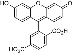 Abcam 6-FAM (6-Carbo x yfluorescein), Amine-reactive fluorescent label, 200MG