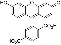 Abcam 6-FAM (6-Carbo x yfluorescein), Amine-reactive fluorescent label, 1G