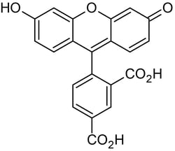 Abcam 5-FAM (5-Carbo x yfluorescein), Amine-reactive fluorescent label, 25MG