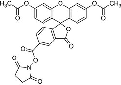 Abcam 5-CFDA N-succinimidyl ester, Fluorogenic esterase substrate.