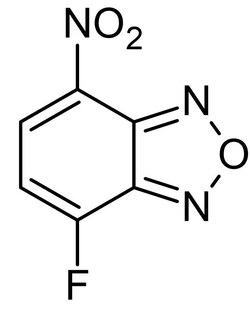 Abcam NBD-F, Pro-fluorescent reagent.