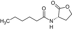 Abcam&nbsp;N-He x anoyl-L-homoserine lactone, involved in quorum sensing, 10MG