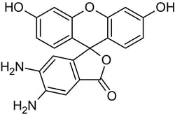 Abcam DAF-2, Fluorescent nitric o x ide probe, 5MG