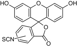 Abcam&nbsp;5(6)-FITC (Fluorescein 5(6)-isothiocyanate), Fluorescent amine-reactive label, 100MG