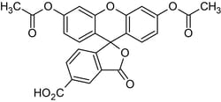 Abcam&nbsp;5-CFDA (5-Carbo x yfluorescein Diacetate), Fluorogenic non-selective esterase substrate, 100MG