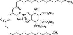 Abcam L-alpha-Phosphatidylinositol-3,4,5-trisphosphate sodium salt, PKC delta, epsilon and eta activator, 100UG