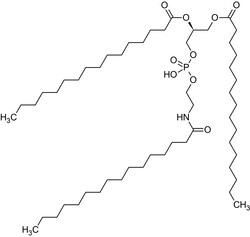 Abcam&nbsp;N-Palmitoyl phosphatidylethanolamine, Endogenous lipid anorectic hormone, 5MG