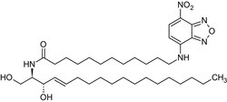 Abcam N-Dodecanoyl-NBD-D-erythro-sphingosine, Fluorescent C12:0-sphingosine ceramide analog.