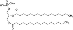 Abcam&nbsp;1,2-Dipalmitoyl-sn-glycero-3-phosphatidic acid sodium salt (DPPA), Phospholipid, 100MG