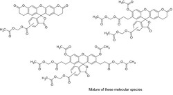 Abcam BCECF-AM, intracellular ratiometric pH indicator, 1MG