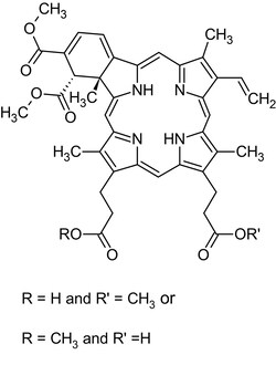 Abcam&nbsp;Verteporfin (Visudyne), Benzoporphyrin derivative, 25MG