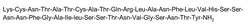 Abcam Amylin (human), Endogenous peptide, 500UG