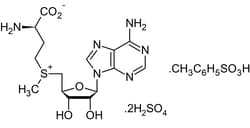 Abcam SAM e (S-(5-Adenosyl)-L-methionine disulfate tosylate), Methyl donor, 100MG