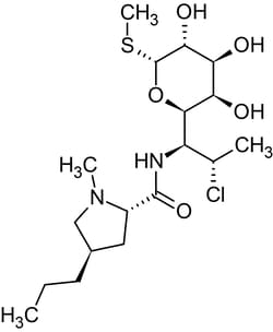 Abcam&nbsp;Clindamycin, inhibits protein synthesis, 10MG