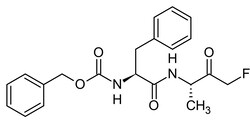 Abcam&nbsp;Z-FA-FMK, Cysteine protease inhibitor, 1MG