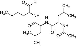 Abcam&nbsp;ALLN, cysteine proteinase inhibitor, 5MG