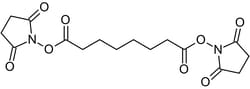 Abcam Disuccinimidyl suberate, cross-linking reagent, 500MG