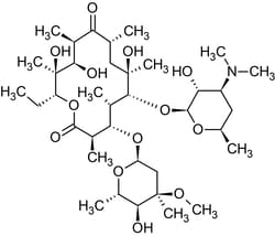 Abcam&nbsp;Erythromycin, Macrolide antibiotic, 5G