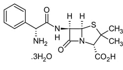 Abcam&nbsp;Ampicillin trihydrate, beta-lactam antibiotic, 5G